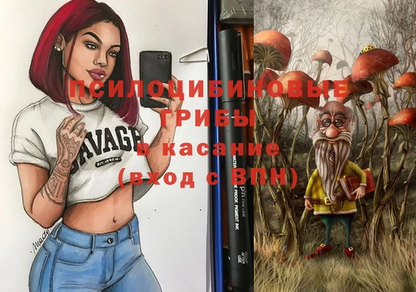 мдпв Арсеньев
