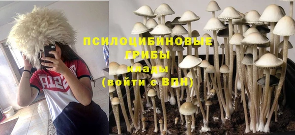 кокс Аркадак
