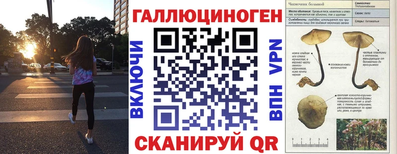 Галлюциногенные грибы Psilocybe  Тырныауз 